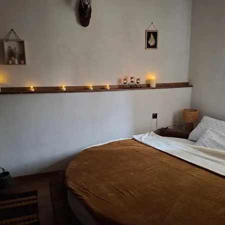 Vakantiehuis капсъзовата къща